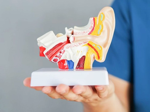 Kulak Tüpü Takılması (Ventilasyon Tüpü) İzmir